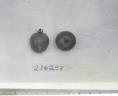 Click for 1 image(s) for this accession. FRUIT